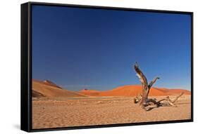 Red Dunes of Sossusvlei-schoolgirl-Framed Stretched Canvas