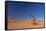 Red Dunes of Sossusvlei-schoolgirl-Framed Stretched Canvas