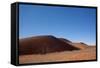 Red Dunes of Sossusvlei-schoolgirl-Framed Stretched Canvas