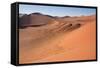 Red Dunes of Sossusvlei-schoolgirl-Framed Stretched Canvas