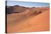 Red Dunes of Sossusvlei-schoolgirl-Stretched Canvas