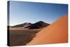 Red Dunes of Sossusvlei-schoolgirl-Stretched Canvas