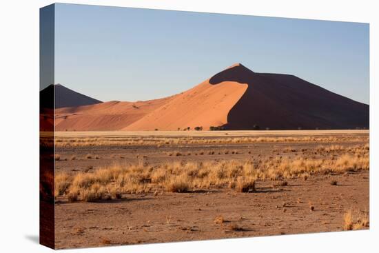 Red Dunes of Sossusvlei-schoolgirl-Stretched Canvas