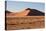 Red Dunes of Sossusvlei-schoolgirl-Stretched Canvas