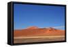 Red Dunes of Sossusvlei-schoolgirl-Framed Stretched Canvas