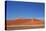 Red Dunes of Sossusvlei-schoolgirl-Stretched Canvas