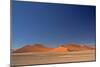 Red Dunes of Sossusvlei-schoolgirl-Mounted Photographic Print