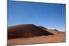 Red Dunes of Sossusvlei-schoolgirl-Mounted Photographic Print