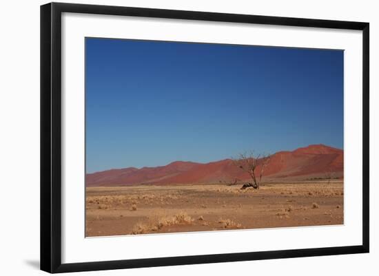 Red Dunes of Sossusvlei-schoolgirl-Framed Photographic Print