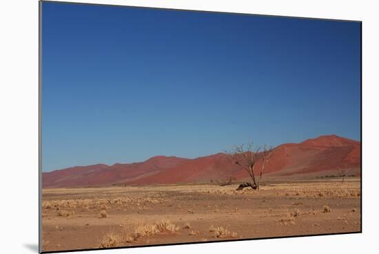 Red Dunes of Sossusvlei-schoolgirl-Mounted Photographic Print