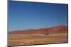 Red Dunes of Sossusvlei-schoolgirl-Mounted Photographic Print