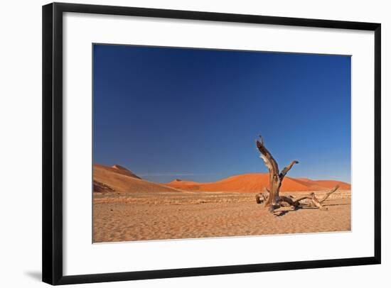 Red Dunes of Sossusvlei-schoolgirl-Framed Photographic Print