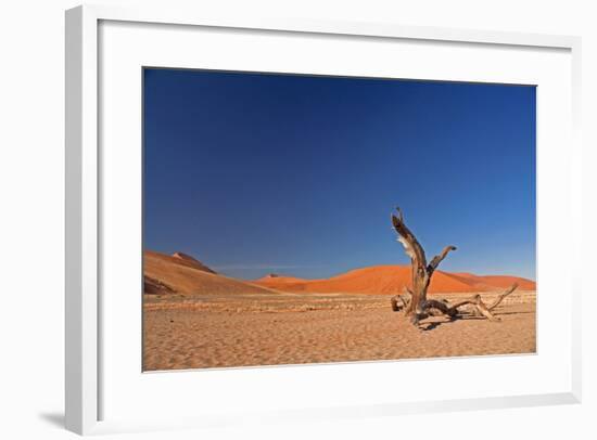 Red Dunes of Sossusvlei-schoolgirl-Framed Photographic Print