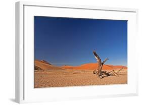 Red Dunes of Sossusvlei-schoolgirl-Framed Photographic Print