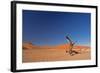 Red Dunes of Sossusvlei-schoolgirl-Framed Photographic Print