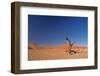 Red Dunes of Sossusvlei-schoolgirl-Framed Photographic Print