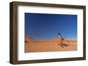 Red Dunes of Sossusvlei-schoolgirl-Framed Photographic Print