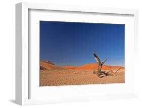 Red Dunes of Sossusvlei-schoolgirl-Framed Photographic Print