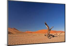 Red Dunes of Sossusvlei-schoolgirl-Mounted Photographic Print