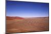 Red Dunes of Sossusvlei-schoolgirl-Mounted Photographic Print