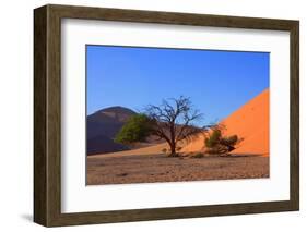 Red Dunes of Sossusvlei-schoolgirl-Framed Photographic Print