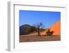 Red Dunes of Sossusvlei-schoolgirl-Framed Photographic Print