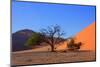 Red Dunes of Sossusvlei-schoolgirl-Mounted Photographic Print