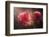 Red Duo in the Sun-Philippe Sainte-Laudy-Framed Photographic Print