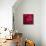 Red Duvet-Philippe Sainte-Laudy-Photographic Print displayed on a wall