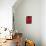 Red Dyed Cloth Drying, Marrakech, Morocco, North Africa, Africa-Matthew Davison-Photographic Print displayed on a wall