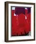 Red Dyed Cloth Drying, Marrakech, Morocco, North Africa, Africa-Matthew Davison-Framed Photographic Print