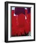 Red Dyed Cloth Drying, Marrakech, Morocco, North Africa, Africa-Matthew Davison-Framed Photographic Print