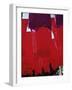 Red Dyed Cloth Drying, Marrakech, Morocco, North Africa, Africa-Matthew Davison-Framed Photographic Print