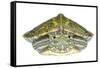 Red-Eared Slider (Trachemys Scripta Elegans) Juvenile Portrait-Seth Patterson-Framed Stretched Canvas