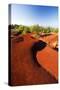 Red Earth Area of the Waimea Canyon-Terry Eggers-Stretched Canvas