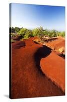 Red Earth Area of the Waimea Canyon-Terry Eggers-Stretched Canvas