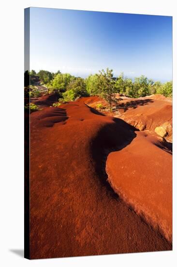 Red Earth Area of the Waimea Canyon-Terry Eggers-Stretched Canvas