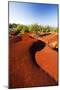 Red Earth Area of the Waimea Canyon-Terry Eggers-Mounted Photographic Print