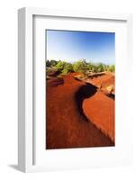 Red Earth Area of the Waimea Canyon-Terry Eggers-Framed Photographic Print