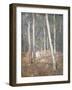 Red Earth-Henry Alexander-Framed Giclee Print