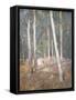 Red Earth-Henry Alexander-Framed Stretched Canvas