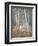 Red Earth-Henry Alexander-Framed Giclee Print