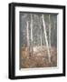 Red Earth-Henry Alexander-Framed Giclee Print