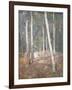 Red Earth-Henry Alexander-Framed Giclee Print