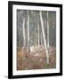 Red Earth-Henry Alexander-Framed Giclee Print