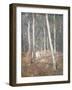 Red Earth-Henry Alexander-Framed Giclee Print