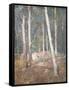 Red Earth-Henry Alexander-Framed Stretched Canvas