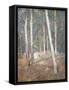 Red Earth-Henry Alexander-Framed Stretched Canvas