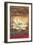 Red Eclecticism with Water Lily-Patricia Pinto-Framed Art Print