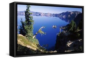 Red Elderberry (Sambucus Racemosa) with Phantom Ship Island in Crater Lake-null-Framed Stretched Canvas